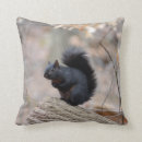 Search for black squirrel cushions Nature