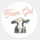 Search for team stickers I vote girl