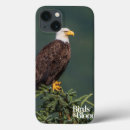 Search for bald eagle cases Bird