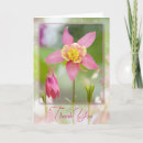 Search for columbine cards Flower