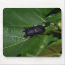 Search for beetles mousepads Animal