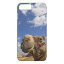 Search for pyramids iphone cases Giza