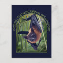 Search for bat postcards Flying fox