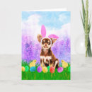 Search for chihuahua easter cards Animal