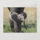 Search for encouraging verses postcards Bible verse