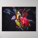Search for jousting posters Horse