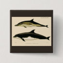 Search for marine creature badges Aquatic