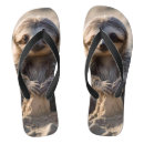 Search for sloth shoes Wildlife