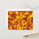 Search for maple leaves postcards Autumn
