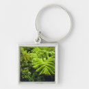 Search for fern leaf key rings Nature