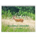 Search for wild creature office supplies woodland creatures