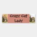 Search for vintage bumper stickers Kittens