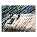 Search for planks posters Nature