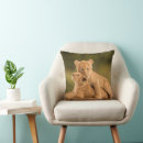 Search for reserved for cats cushions Africa