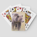 Search for three games Bear