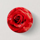 Search for red flower badges Rose