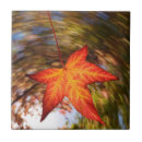 Search for fall tiles Abstract