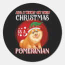 Search for chistmas stickers Cute