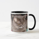 Search for puss mugs Feline