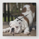 Search for english bulldog art Domestic animals