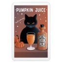 Search for bottles magnets Cat