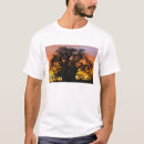 Search for baobab tshirts Sunset