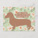 Search for doxie postcards Teckel