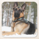 Search for german shepherd coasters Pet