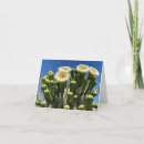 Search for tucson cards Cacti