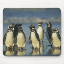 Search for sea shore mousepads Animal