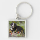 Search for female dog key rings Animal