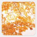 Search for fall scene stickers Forest