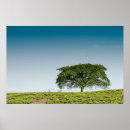 Search for tea tree posters Green
