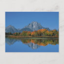 Search for dee postcards Dee ann pederson