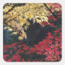 Search for colour changing stickers Maple