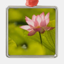 Search for lotus flower christmas tree decorations Green