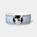 Search for meeow Feline