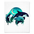 Search for killer whale art Swimming