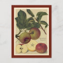 Search for dine postcards Retro