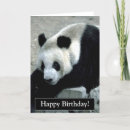 Search for panda bear birthday cards Wild