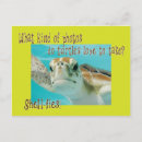 Search for funny turtles postcards Kids