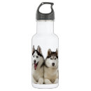 Search for husky water bottles Dog