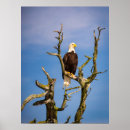 Search for gulf islands posters British columbia