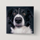 Search for walker badges Pet