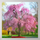 Search for vibrant flowers posters Nature
