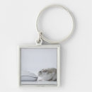 Search for cuts square key rings Colour image