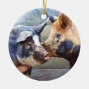 Search for pigs christmas tree decorations Barnyard