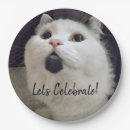 Search for pet plates Modern