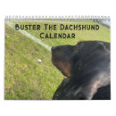 Search for busters Dog