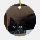 Search for boxing christmas tree decorations Cat